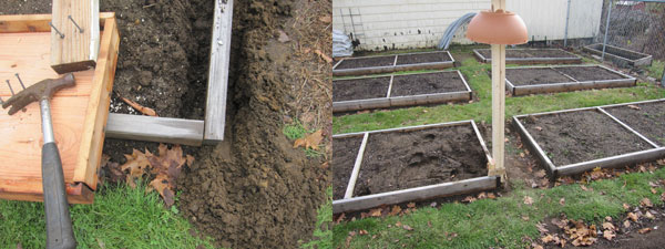 homemade bird feeder