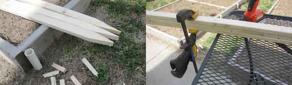 tomato cage stakes