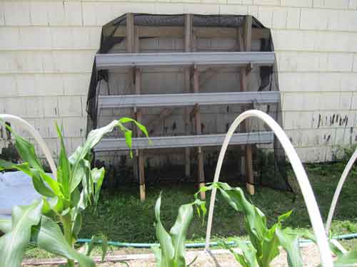 homemade vertical garden trellis