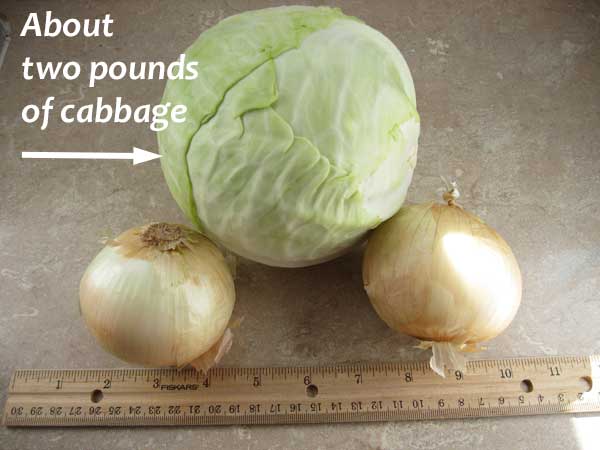 cabbage and onions