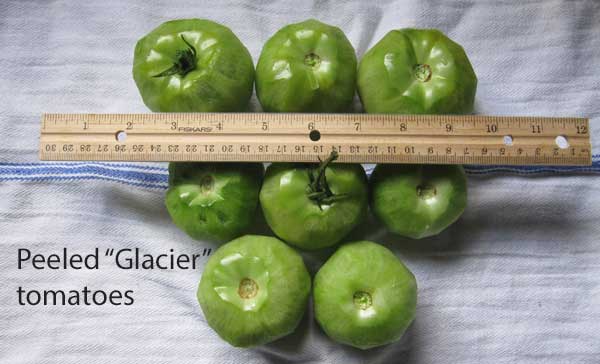 green tomato pie tomatoes