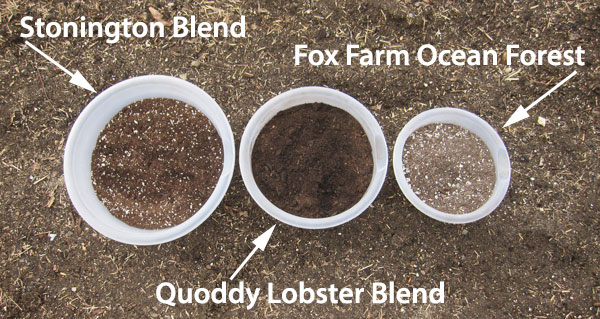 Coast of Maine product samples