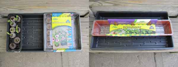 jiffy peat pellets packs