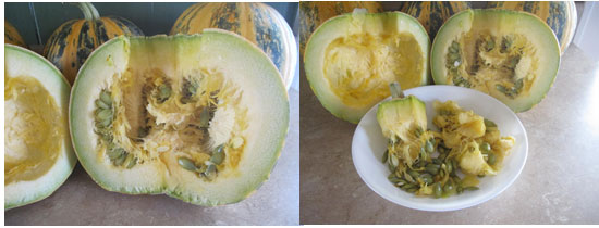 Raw pepita pumpkins seeds