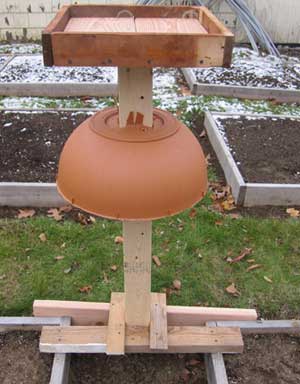 homemade bird feeder