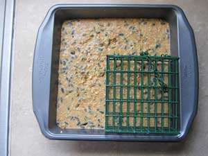 Homemade suet cakes