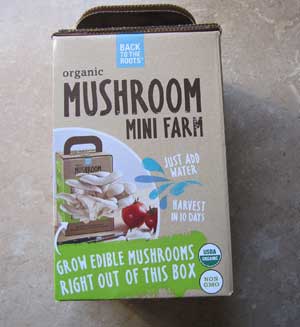 mushroom mini-farm in a box