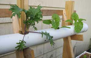 pvc gardening