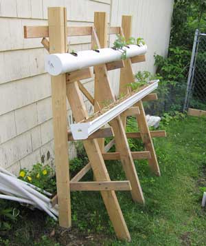 vertical gardening trellis