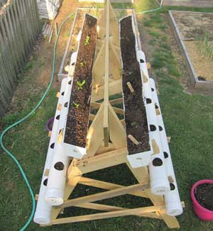 vertical garden trellis